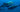 Top Large Marine Game Fish Species