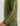 Olive green hoodie with "HULK Performance" text printed down the left sleeve.