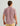 Man wearing mauve button-down shirt with short sleeves and collar, shown from back view.