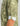 Sage green button-down with abstract print, white cuffs, and chest pocket detail.