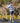 Huk men's Icon Short in Naval Academy, quick-drying fishing shorts, worn on the water